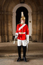 Fotoreis Londen - London guard