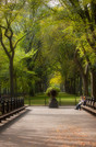 Fotoreis New York - Central Park