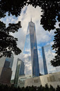 Fotoreizen New York - The Freedom Tower